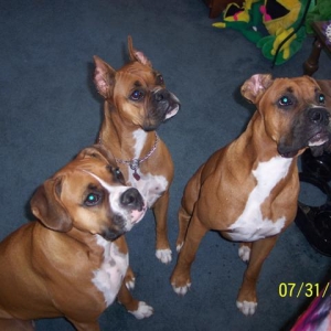 the family photo