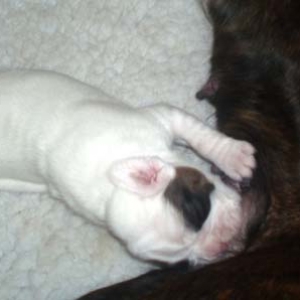 Baby Luka - 2 weeks.