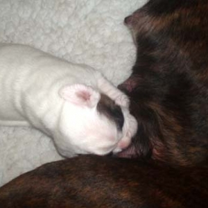 Baby Luka - 2 weeks a.