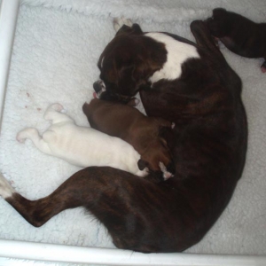 Luka - mum and sisters.