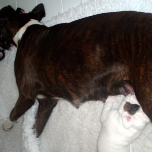 Luka and mum Lottie.