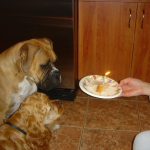 happy_Birth_