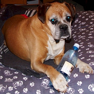 Ray love plastic bottles