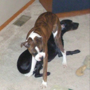 Play Time