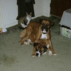 The whole family