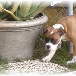 Our beautiful Abby Gayle...