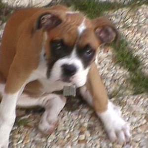 LAST ONE MOM!.....