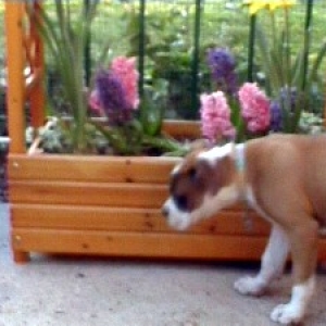 Little Abby...