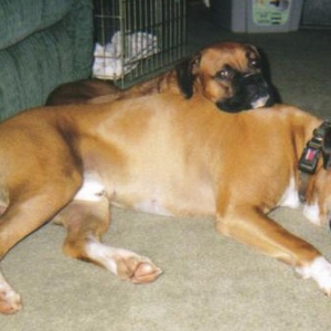 Awww blue and jade