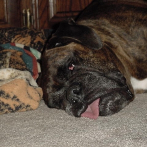 Sacked Out