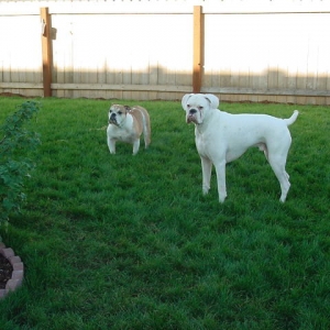 Arley and Emma