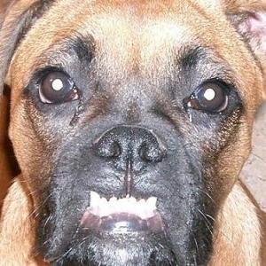A face only a mother could love