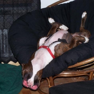 How can anyone sleep in that position?