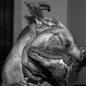 Great still of me getting slobbered!