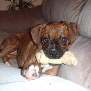 I love my bone!