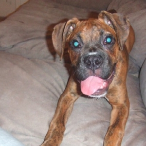 Little Miss Big Tongue!!!!