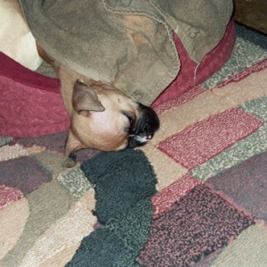Sacked out!!