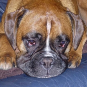 So tired
