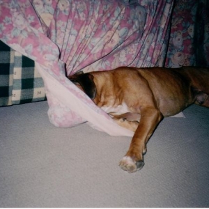 Hard day
