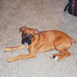 posing_for_the_pic