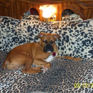 sssssoooo_sleepy