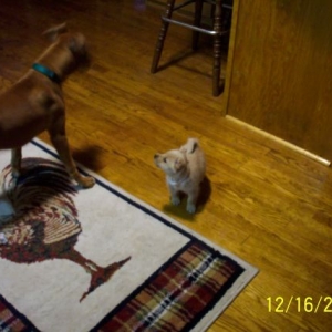 playing3