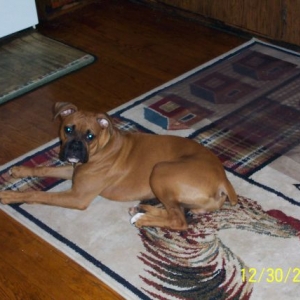 kanin_posing_for_the_pic