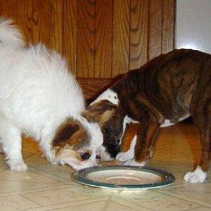 Dinnertime With Friend!