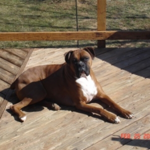 Kaine Is Sunbathing!