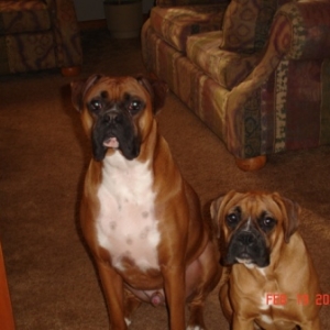 Double Trouble