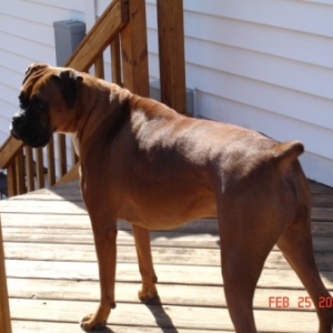 Enjoying The Nice Weather!