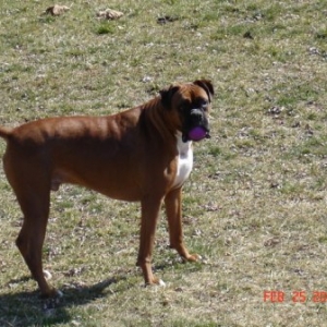 I'm Ready To Play Ball