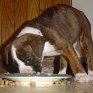 Yum Yum Yum!!!