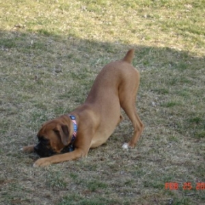 Zoey In Play Position!