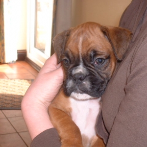 Our new baby