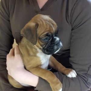 Our new addition