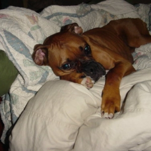 Bye Sweet Girl