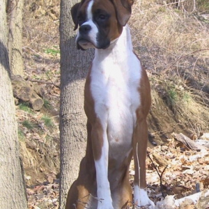 Poppins 10 months