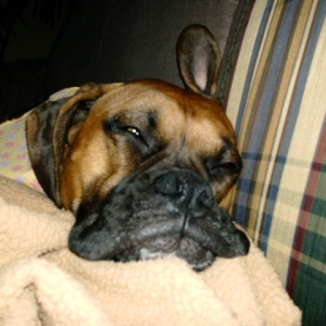 Let me sleep!