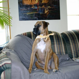 Strike a pose