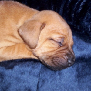 Cali's nap