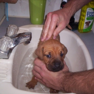 First bath!