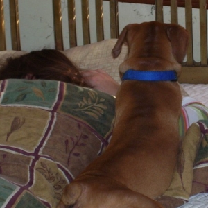 Get up Mom!