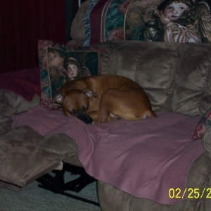kaninonloveseat