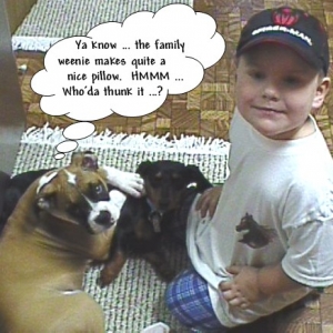 Our 3 babies ... Brock, Abby & Petals