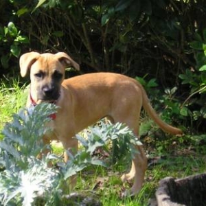 Zoe In the Garden