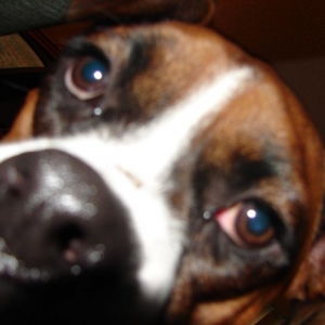 I'm ready for my close-up Mom.