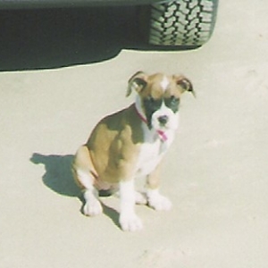 Abby's first time at the beach.