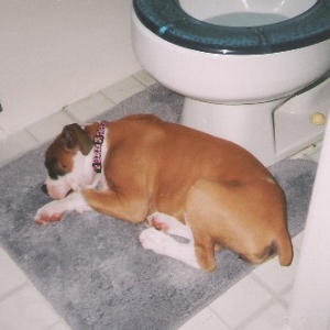 Potty break!