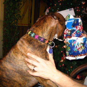 Christmas-06